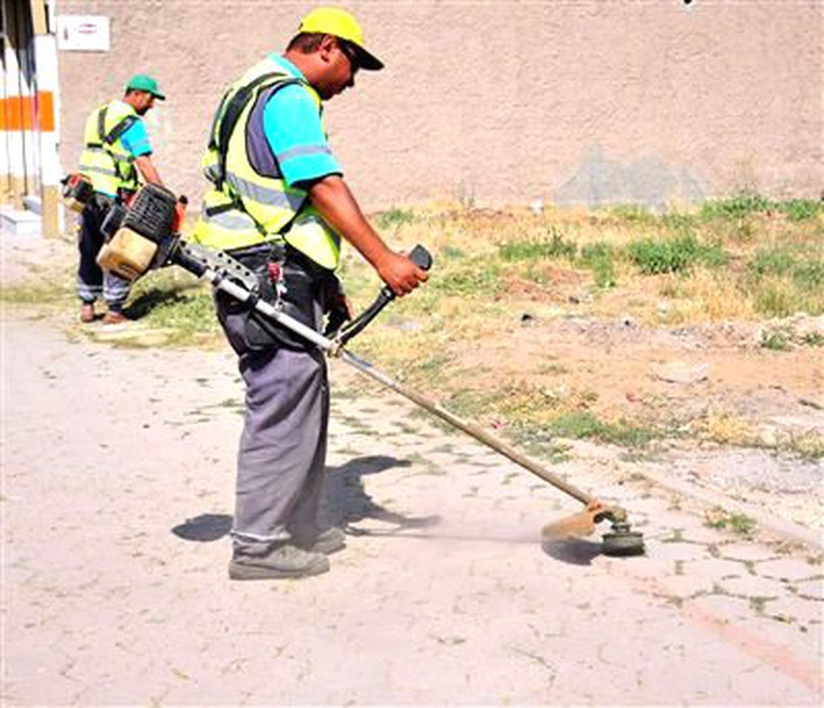 Tepebaşı Belediyesi Yabani Otları Temizliyor