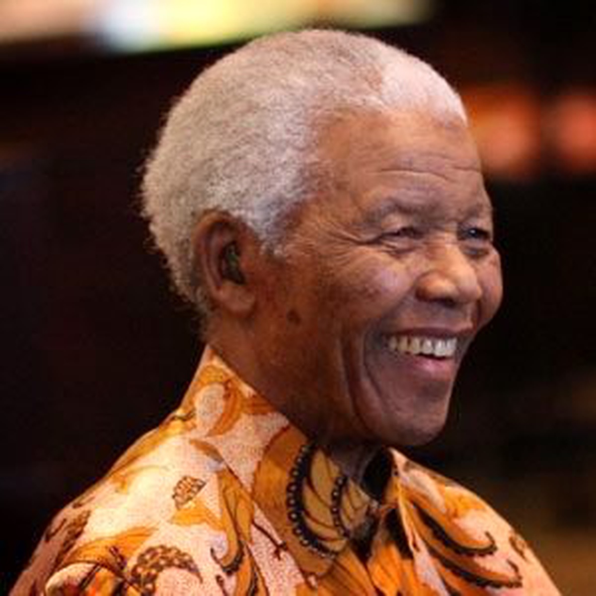 Yeni Kuş Fosiline "Nelson Mandela" Adı Verildi