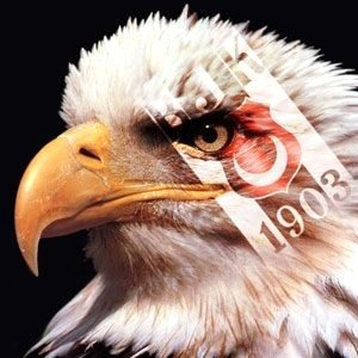 Beşiktaş Yeni Sezon Hazırlıklarını Sürdürdü