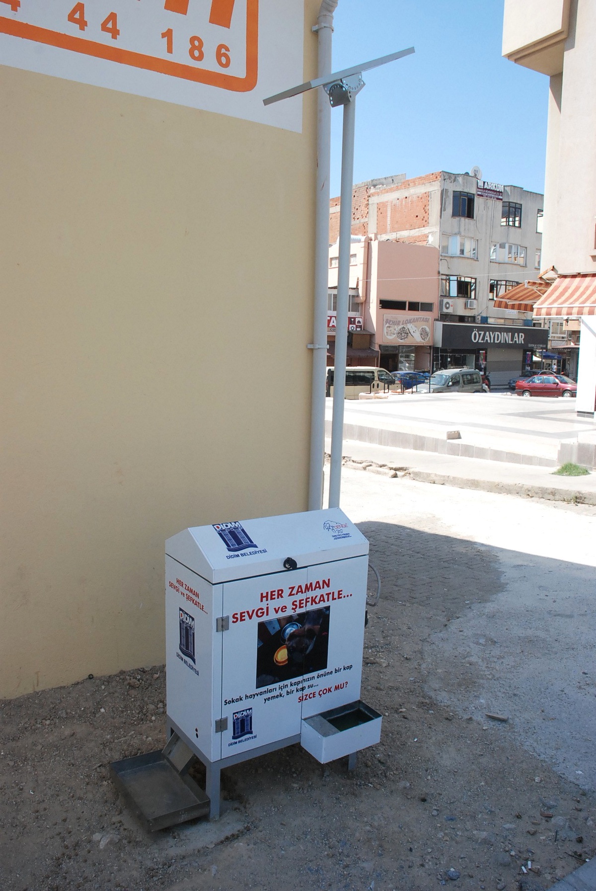 Didim Belediyesi Sokak Hayvanlarına El Uzattı