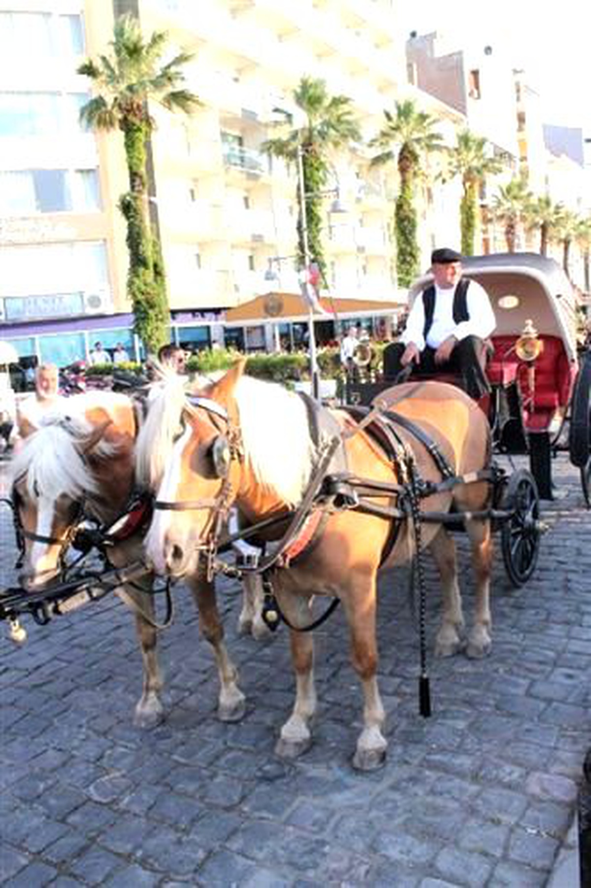 İzmir Yeni Faytonlarına Kavuştu