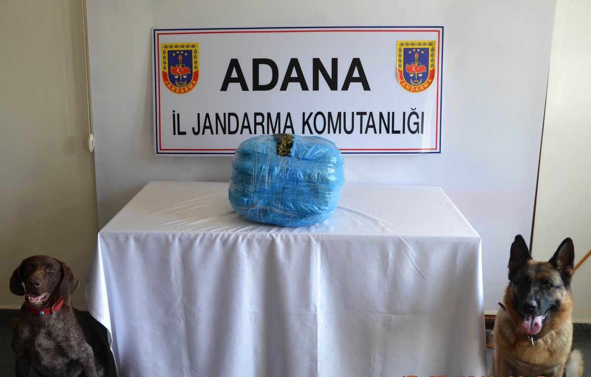 Jandarmadan Uyuşturucu Operasyonu