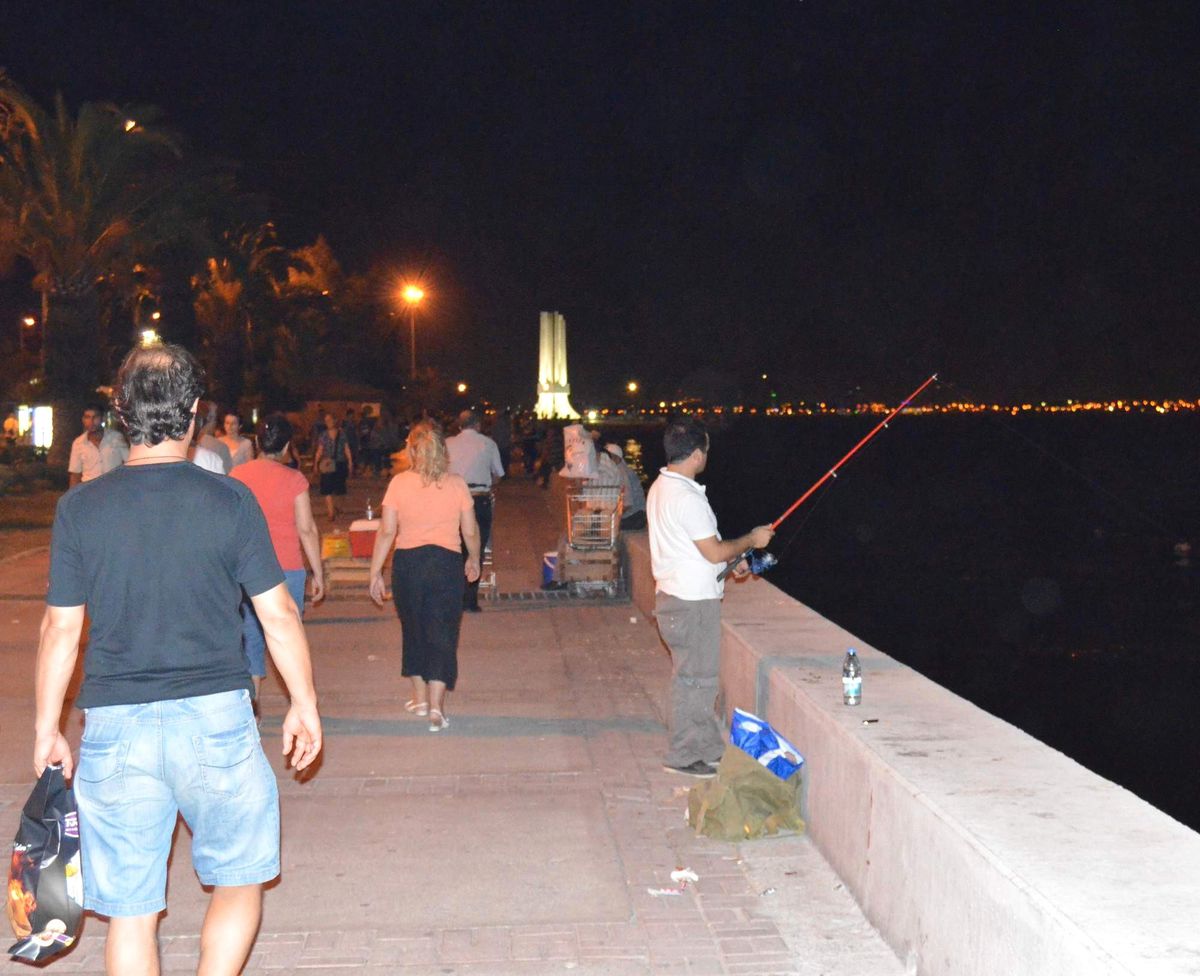Kediler İçin Balık Tutuyorlar