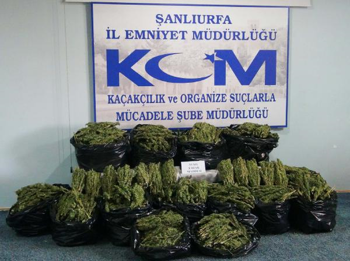 Şanlıurfa\'da 83 Kilo Esrar Ele Geçirildi