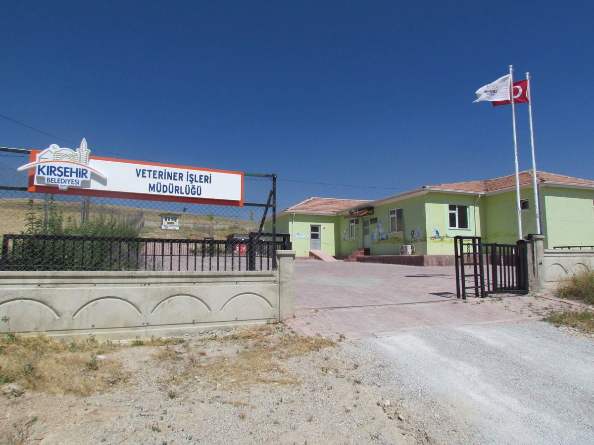 Sokak Hayvanları Artık Sahipsiz Değil