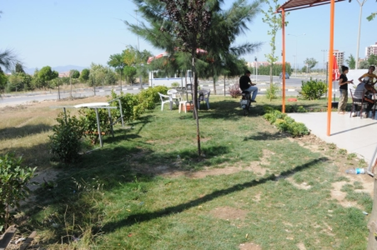 
Yeşili Bozan İnsan Sirkülasyonu
