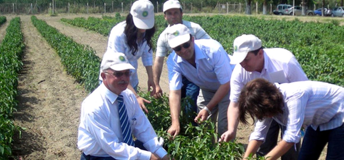 Bahçe Bitkileri Bölge Bilgi Alışveriş Toplantısı