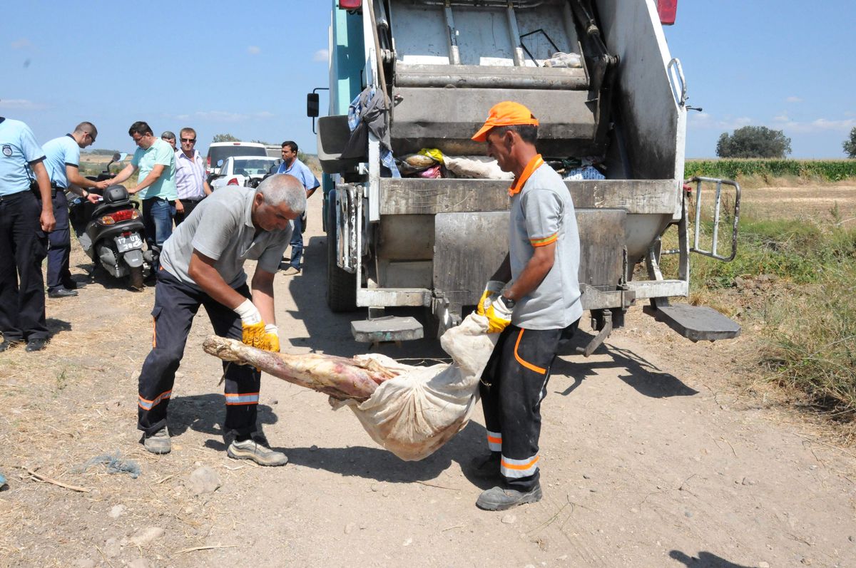 Çanakkale\'de Kaçak Et Operasyonu