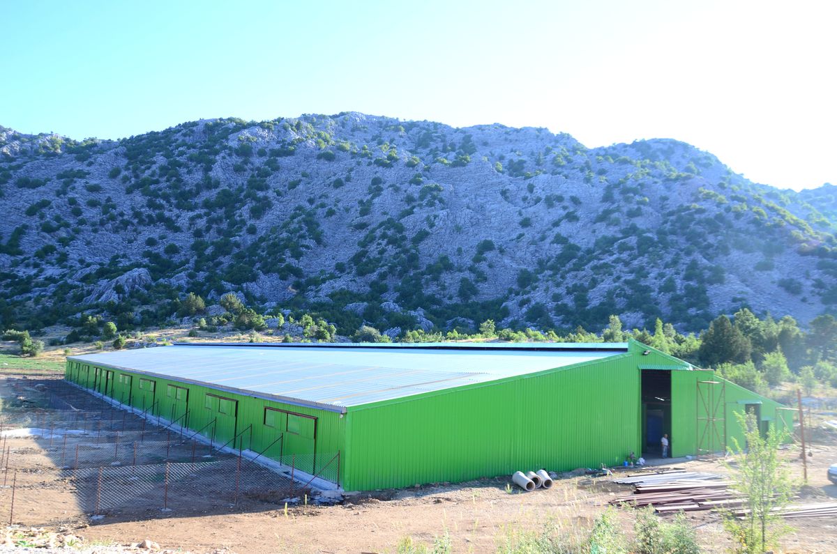 İbradı\'ya Modern Keçi Çiftliği