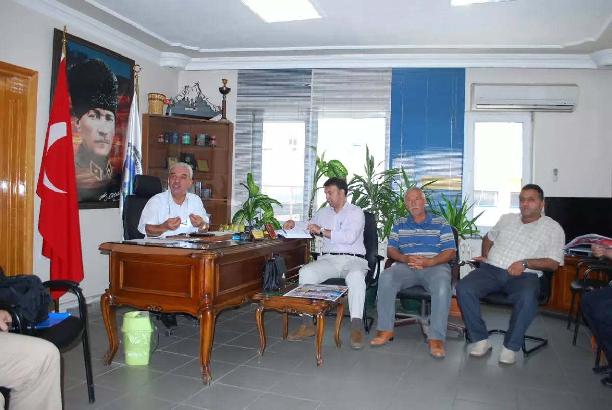 Mudanyalı Zeytincinin Rekabet İsyanı