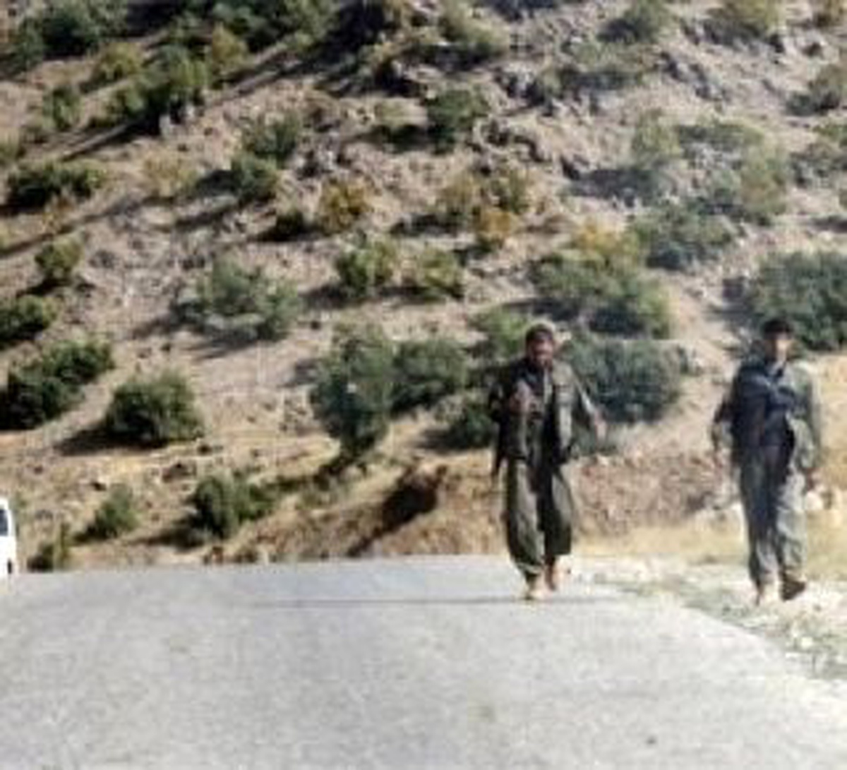 PKK, Siirt\'te Yol Kesti, Araç Kaçırdı