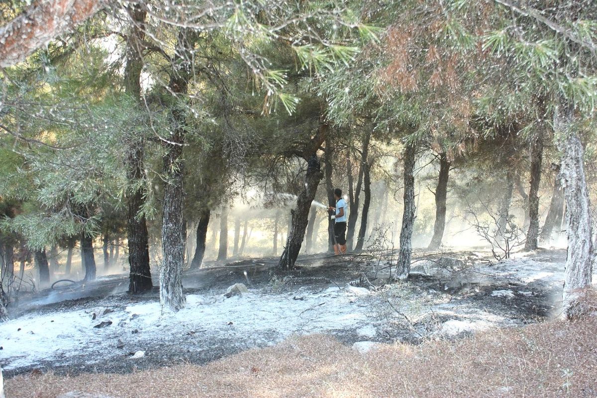 Polisin Dikkati Yangının Büyümesini Önledi