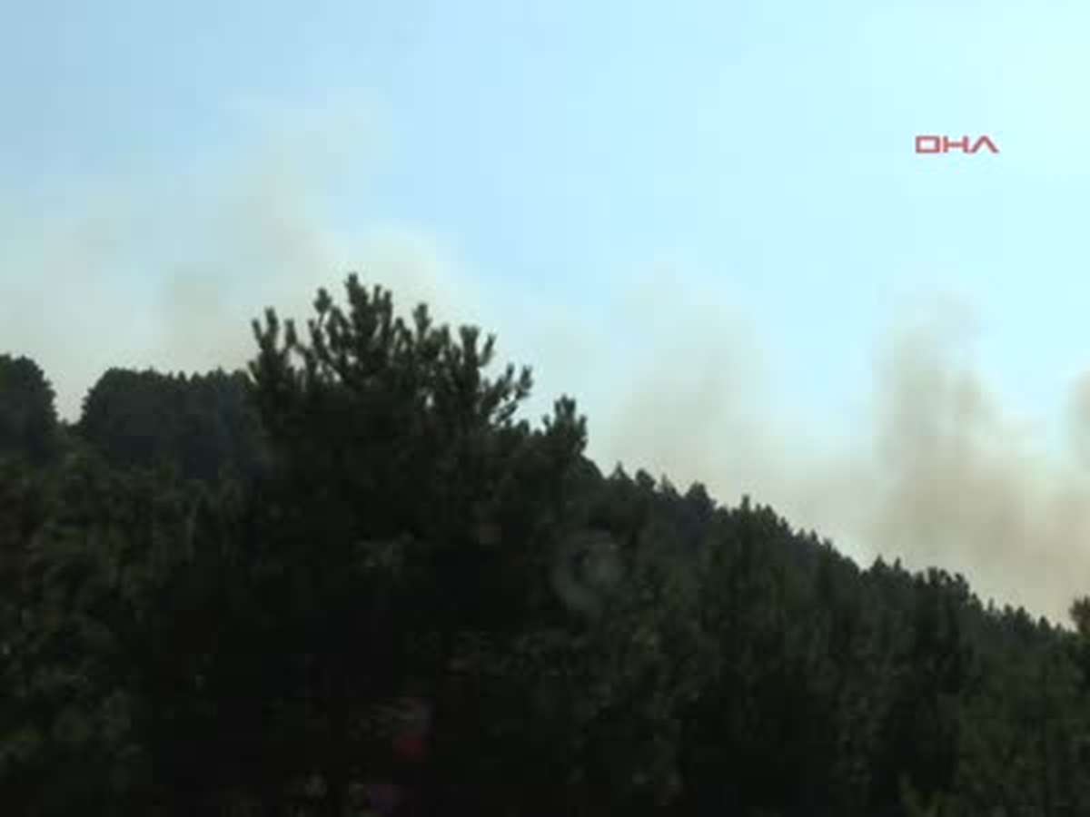 Yangına Karadan ve Havadan Müdahale