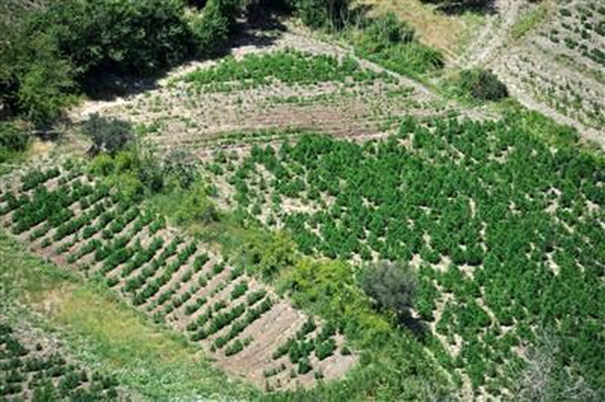 PKK\'ya Dev Operasyon