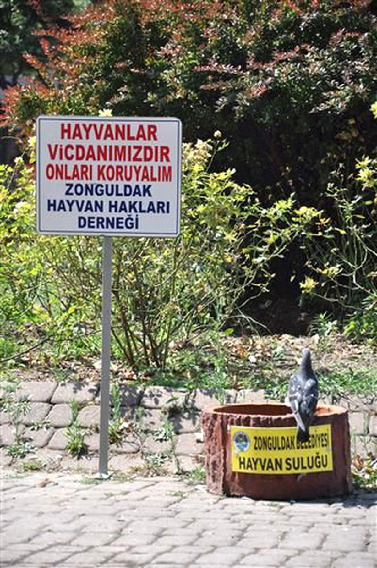 Sıcaklar Hayvanları da Etkiledi