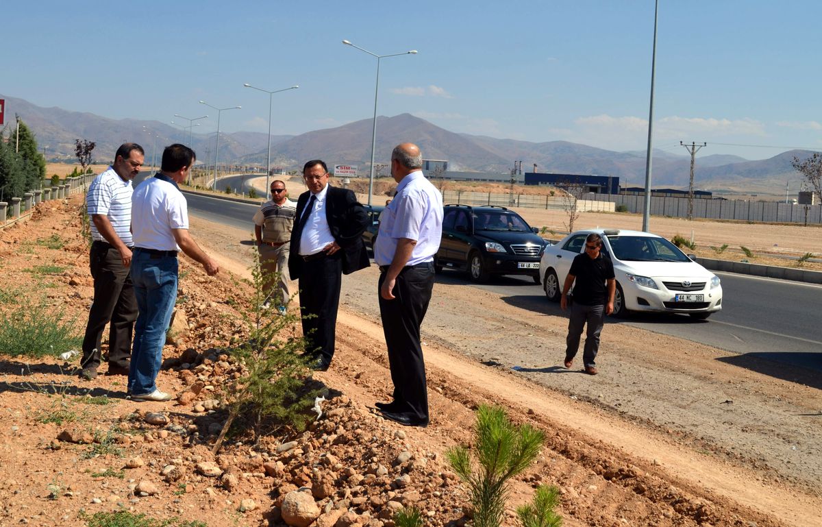 Vali Saran, Havaalanı Yolunda İncelemelerde Bulundu