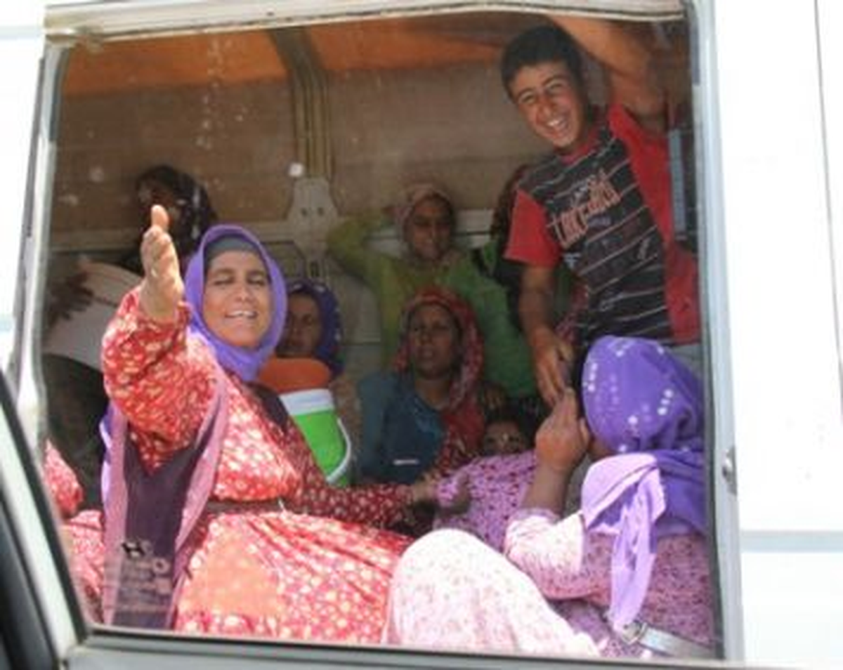45 Derece Sıcakta Balık İstifi Yolculuk