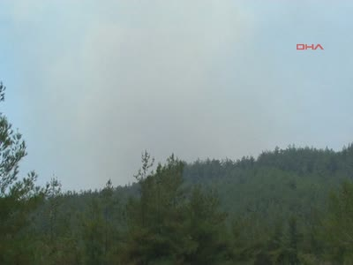 Orman Yangını Türkiye\'ye Yaklaştı