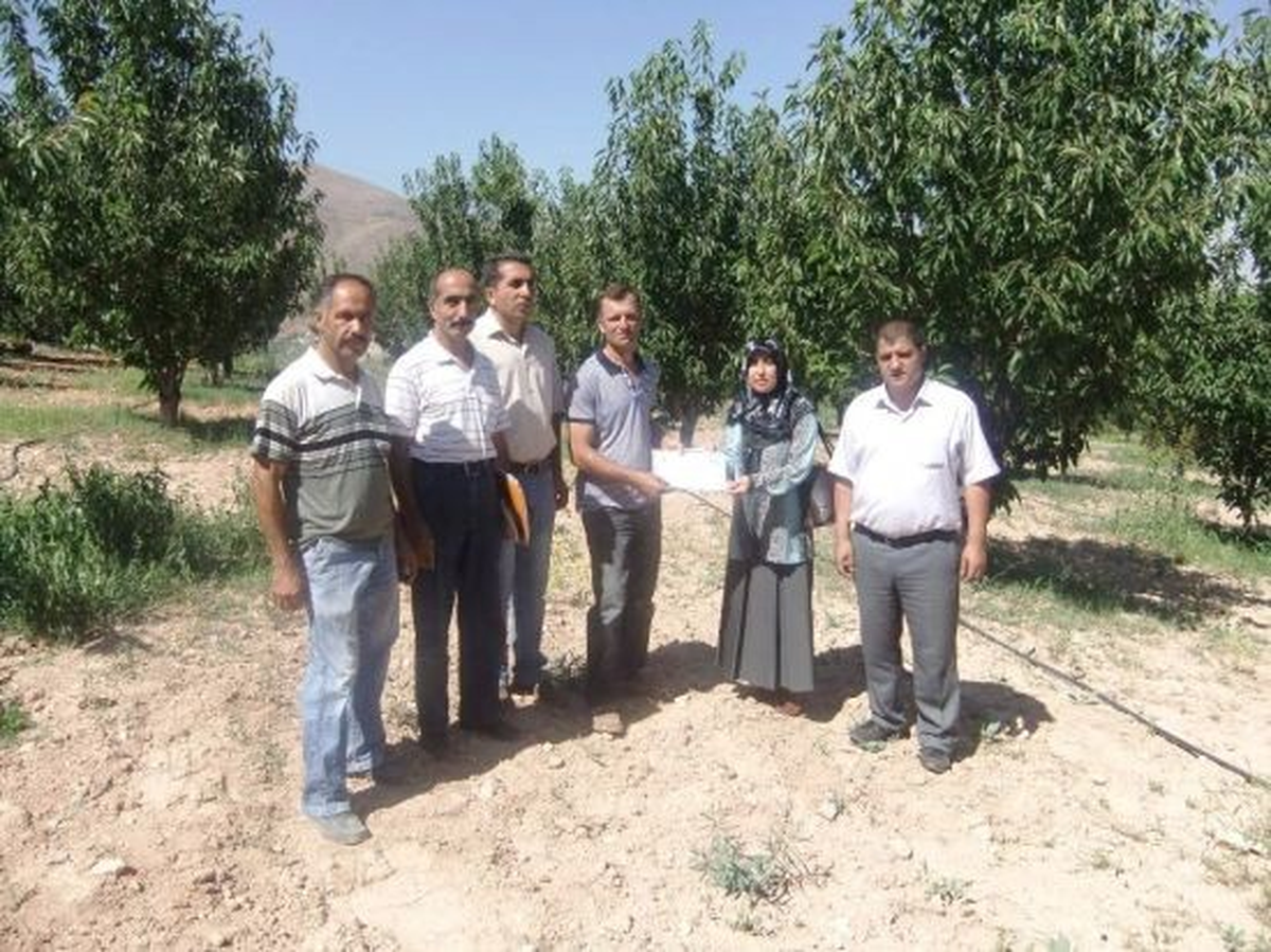 Kiraz Entegre Mücadele Çalışması