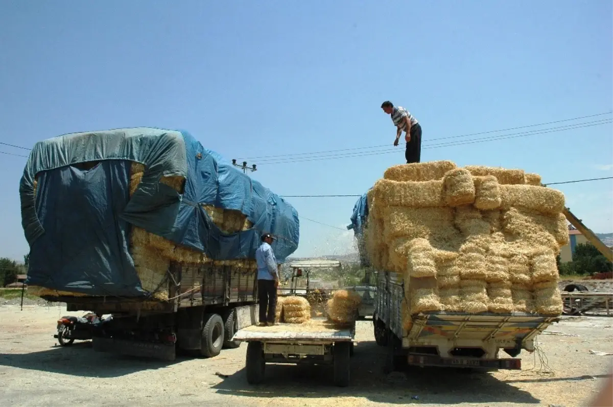 Selendi\'de Saman Fiyatları Arttı