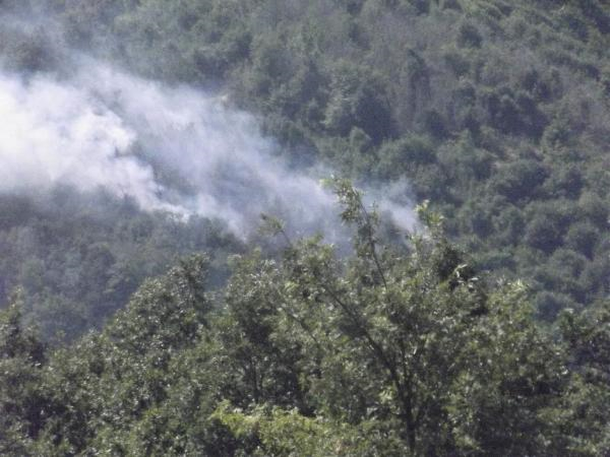 Şile\'de Orman Yangını