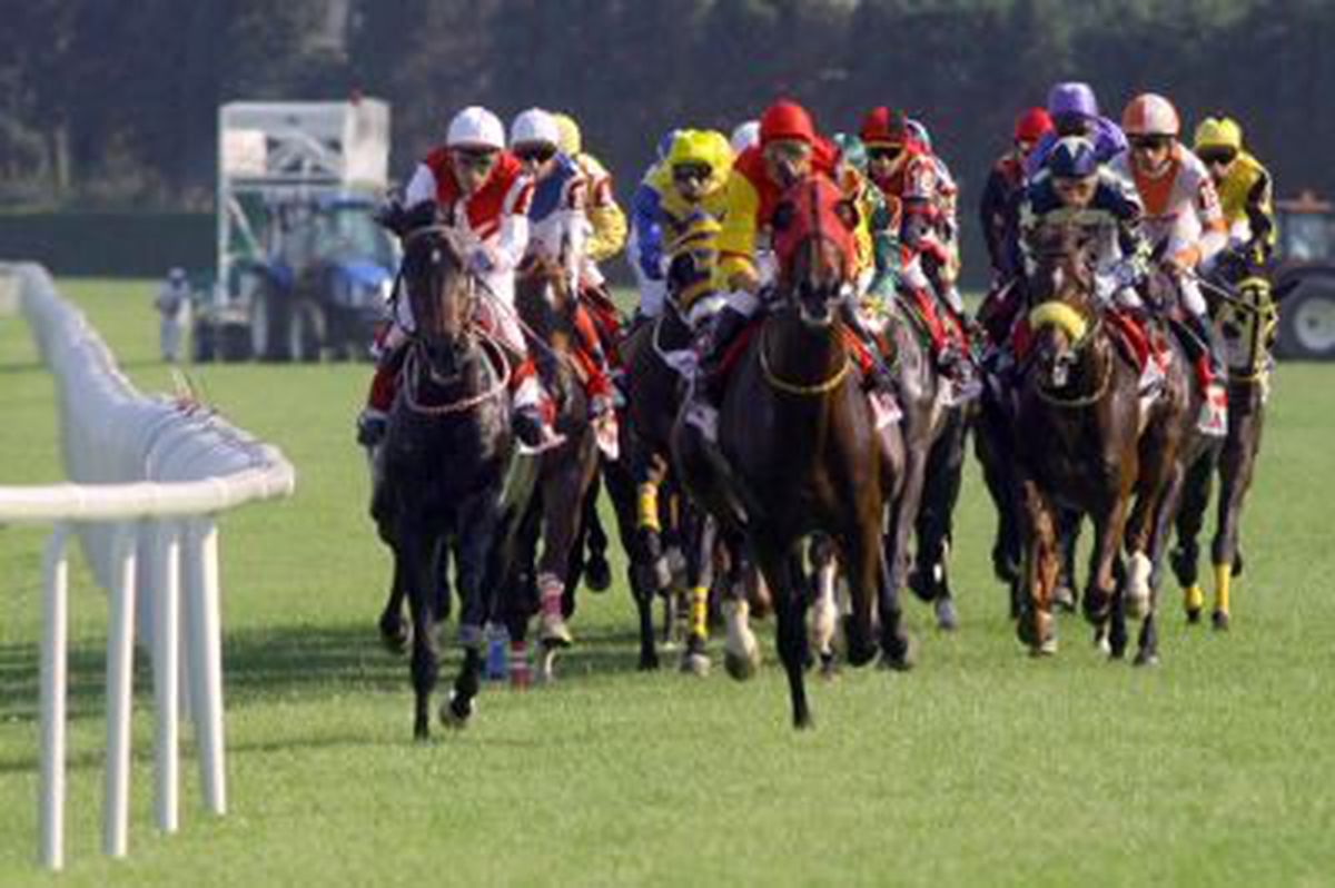 At Yarışlarında Sonuçlar Belli Oldu