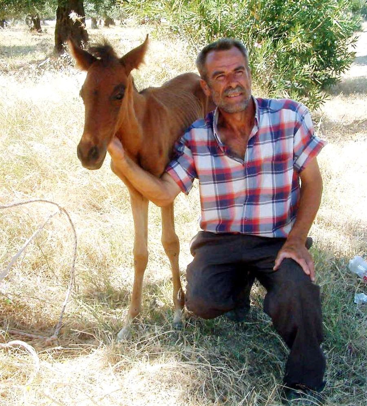 Burhaniye\'de Atı Ölen Vatandaşa Kaymakam Desteği
