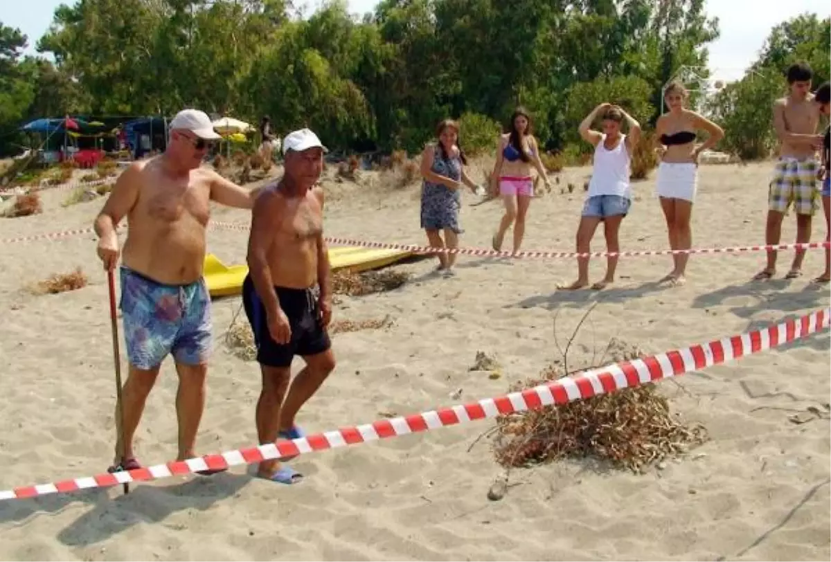 Caretta Caretta Yuvaları Koruma Altına Alındı