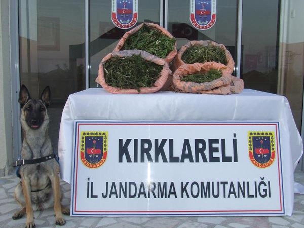 Çiftlikte 11 Kilo 535 Gram Esrar Ele Geçirildi