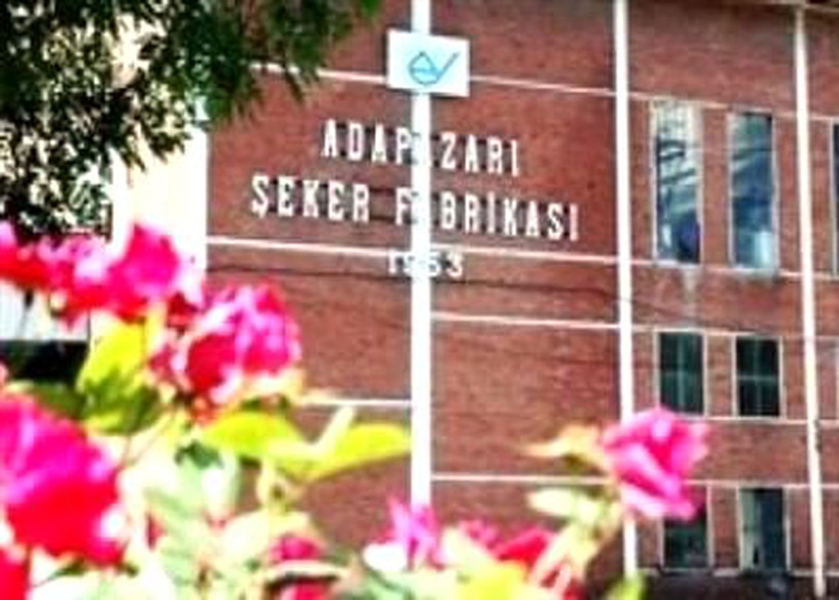 \'Kangren Olan Kol\'u Kesiyorlar