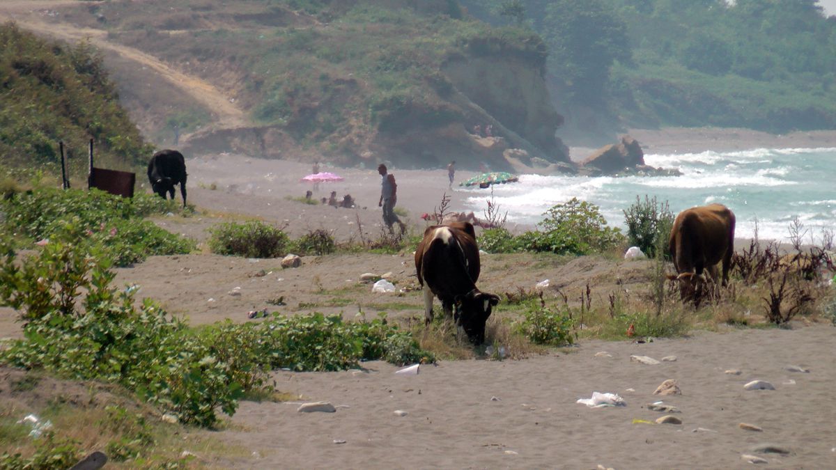 Karadeniz Sahilleri Turistlere Kaldı