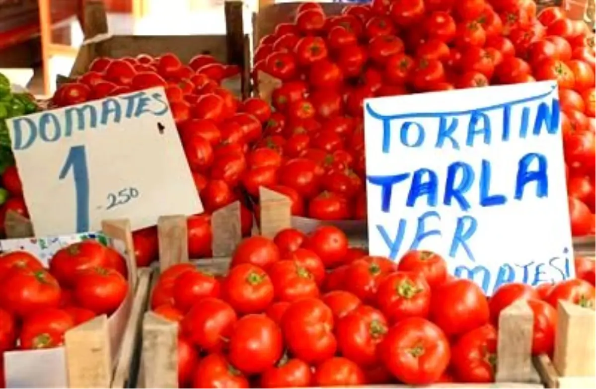 Tarlada 50 Kuruş, Markette 1 Lira