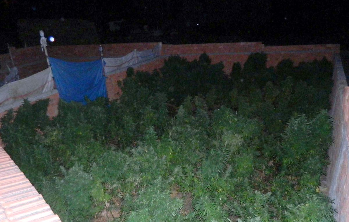 \'13,5 Kilo Hint Kenevirini Kendim İçecektim\' Sözü Polisleri Şaşırttı