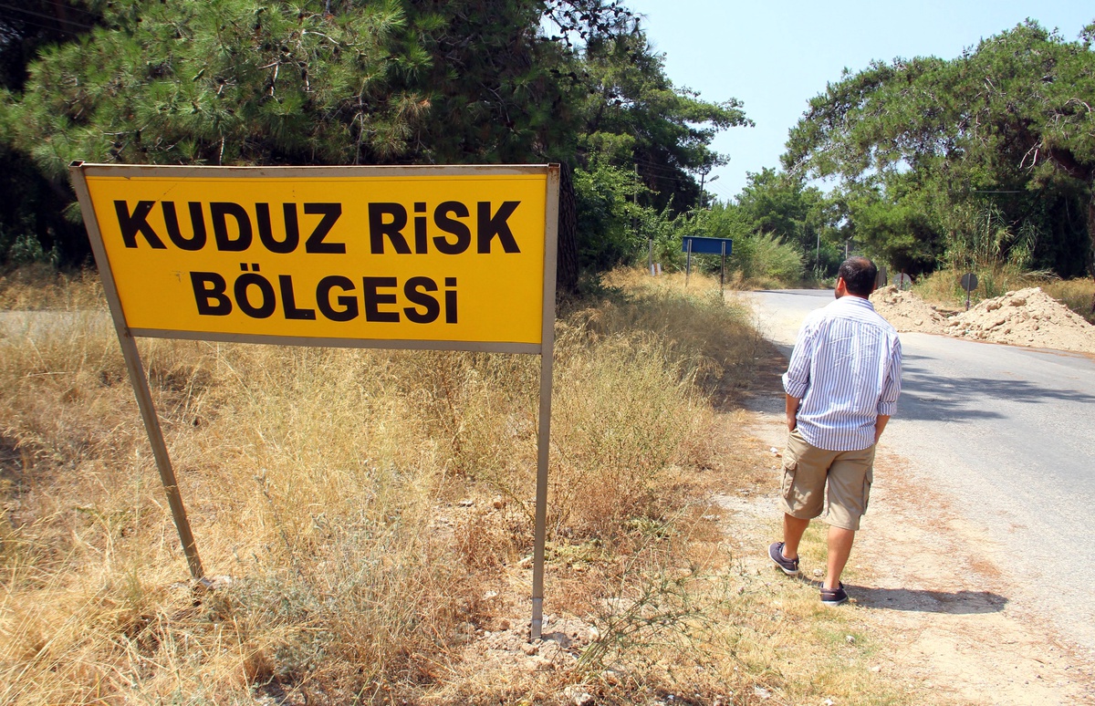 Antalya\'da Kuduz Alarmı!
