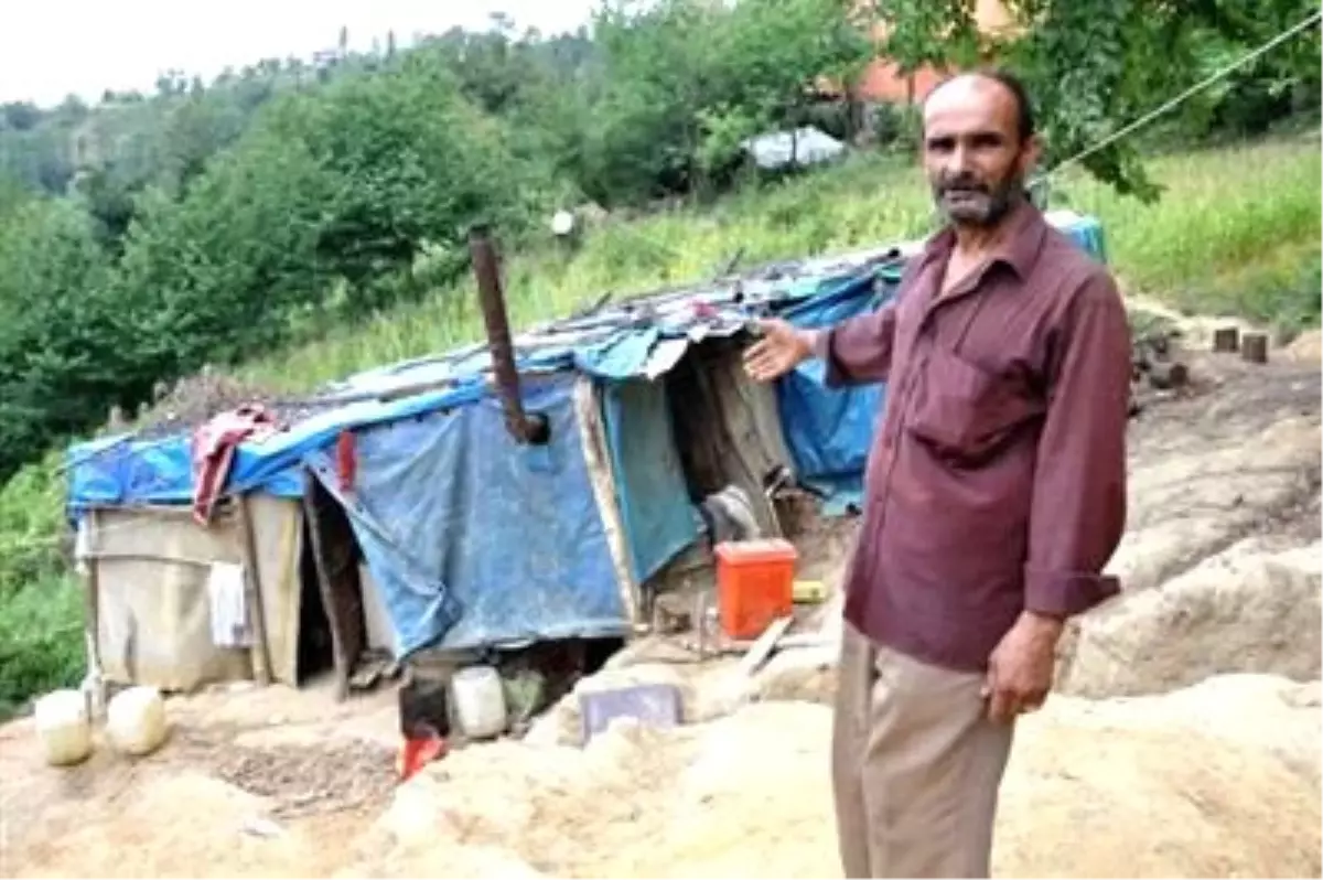 Barakada Yaşam Mücadelesi