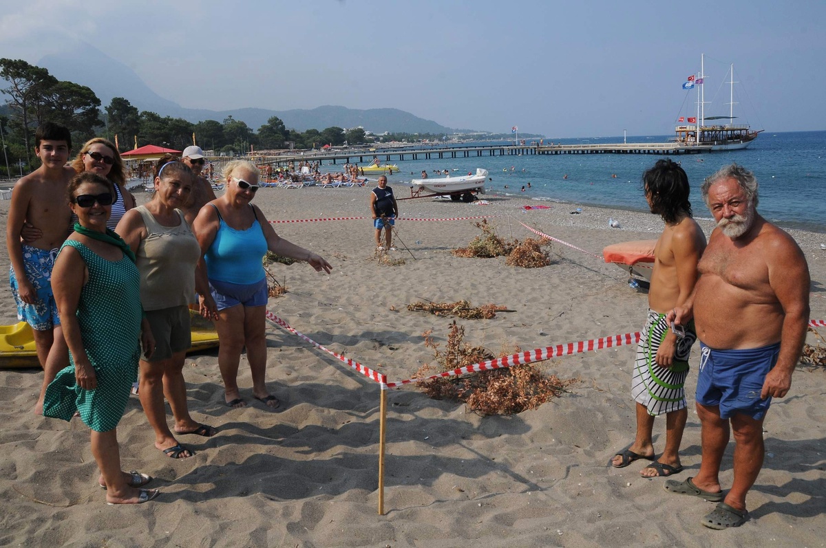 Caretta Caretta Yuvalarına Koruma