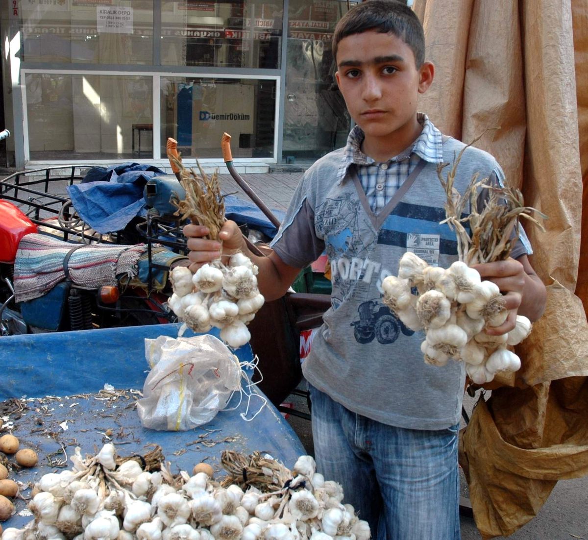 Diyarbakır\'da Sarımsak Üretimi Arttı