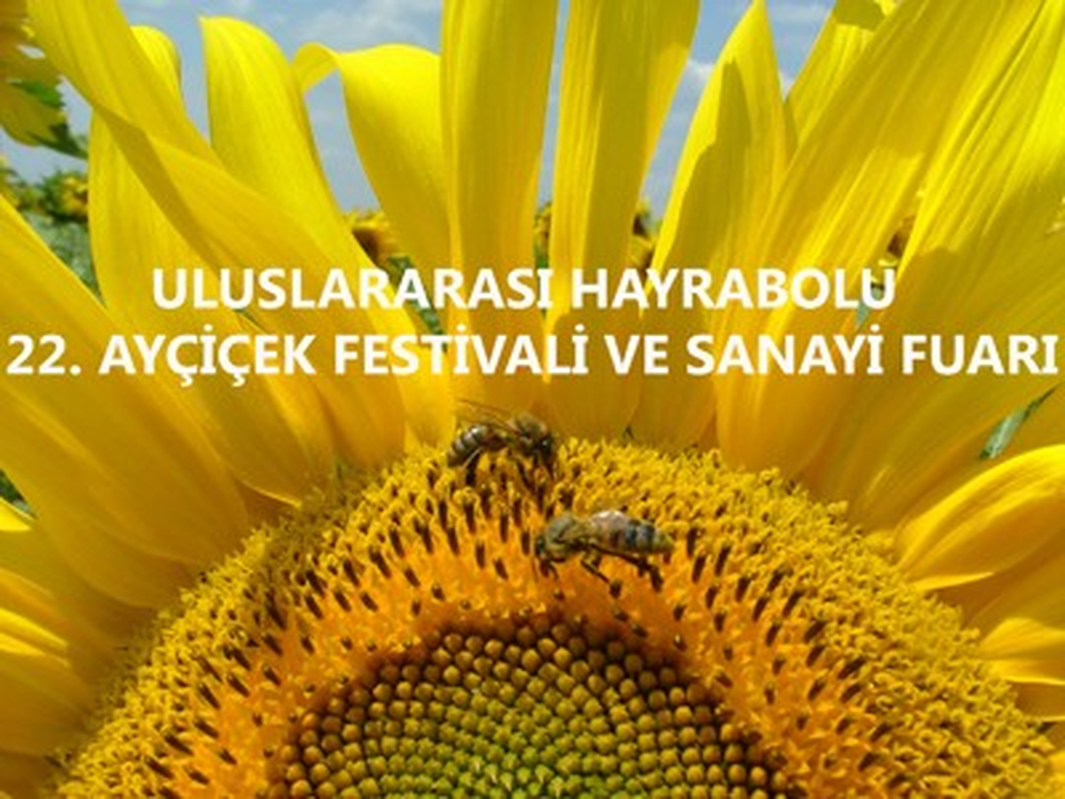 Hayrabolu Belediyesi Fotoğraf Yarışması Düzenledi