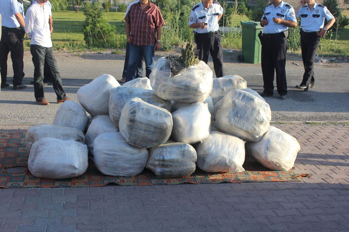 Kayseri\'de 316 Kilo Esrar Ele Geçirildi