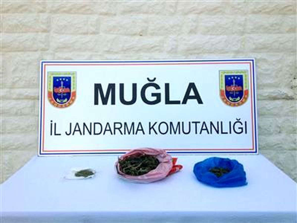 Muğla\'da Uyuşturucu Operasyonu