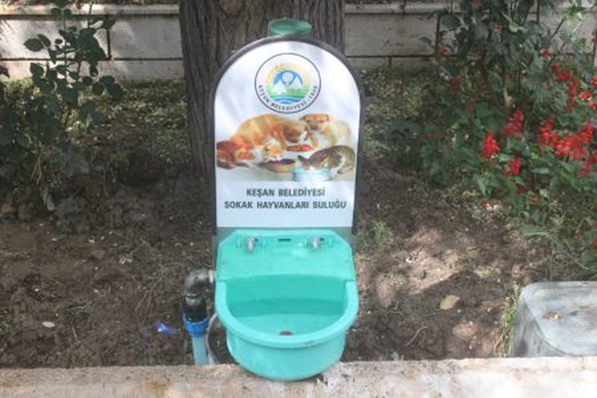 Sokak Hayvanları İçin Su Noktaları