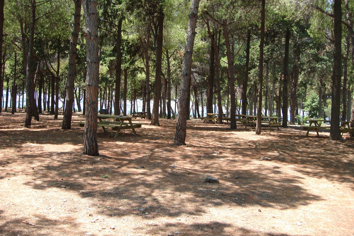 Urla Ada Hastanesi Koruluğu Piknik Sahası Oldu
