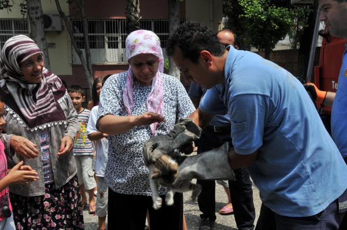 Ağaçtaki Kedi İçin Gözyaşı Döktü, Kurtarılması İçin Dua Etti