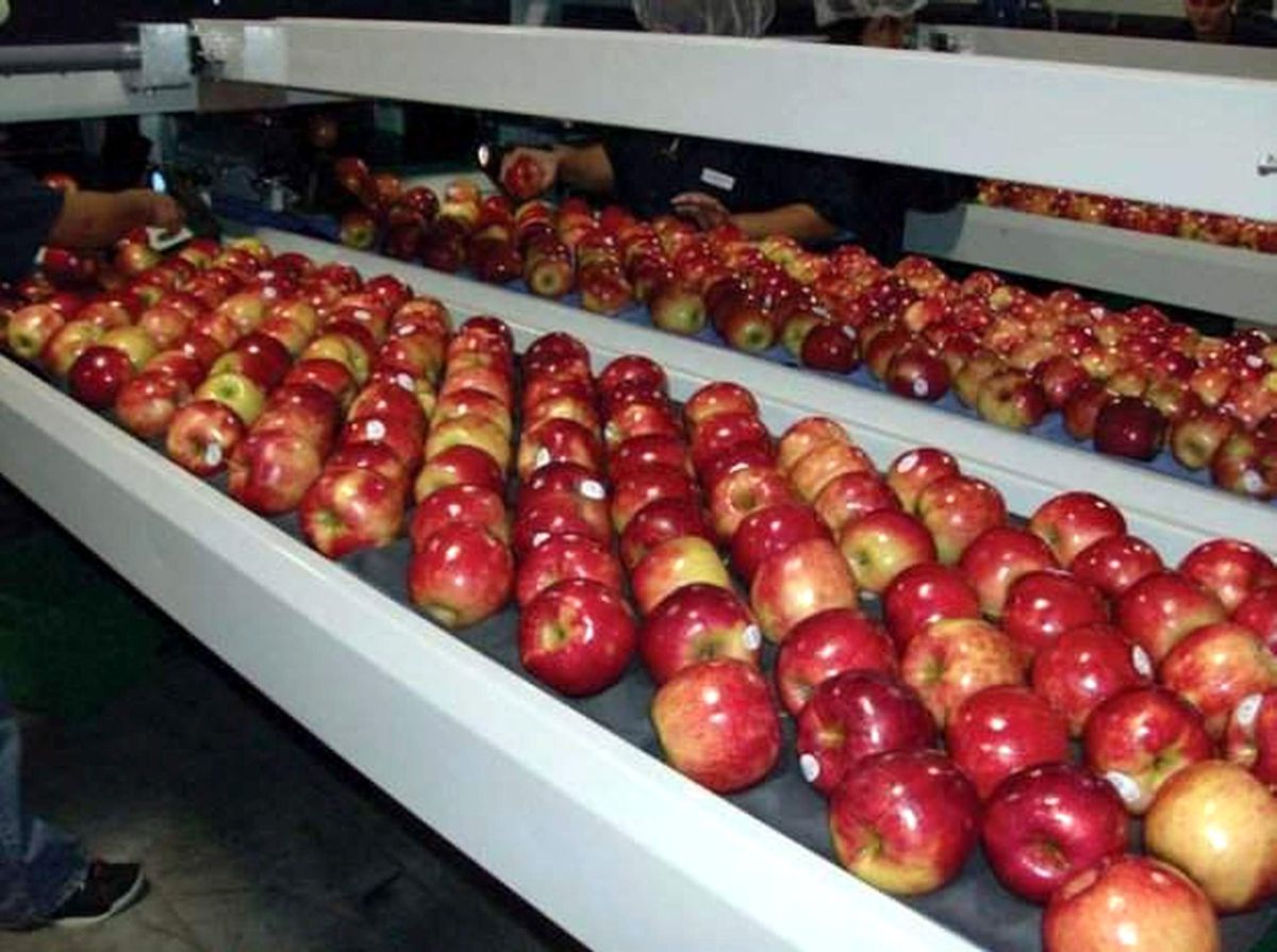 Aydın Tarımı Geka ile Katma Değer Kazanıyor