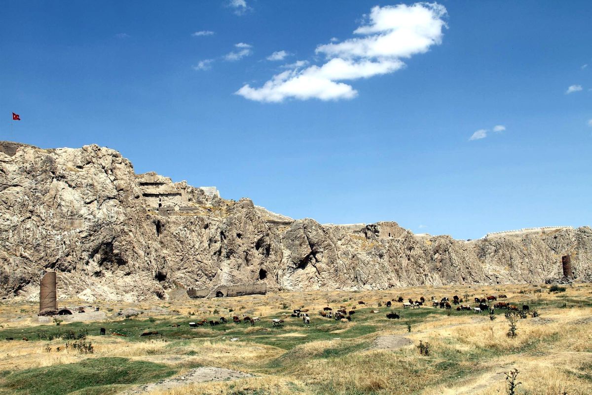 Eski Van Şehri Hayvan Otlağı Oldu