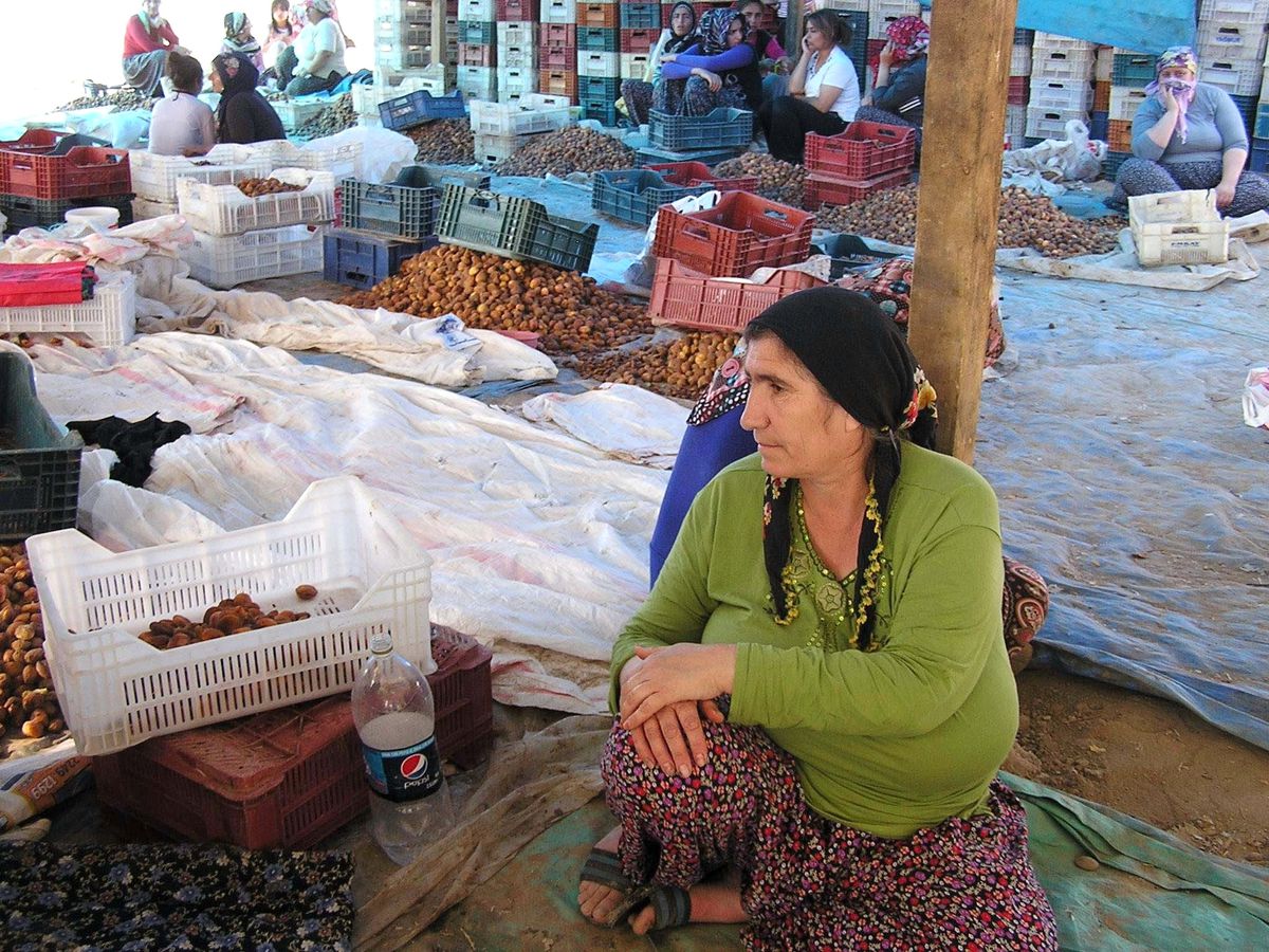 Kayısı Üreticisi Kara Kara Düşünüyor