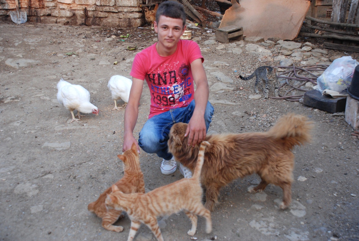 Kedi ile Köpeğin Dostluğu Görenleri Şaşırtıyor