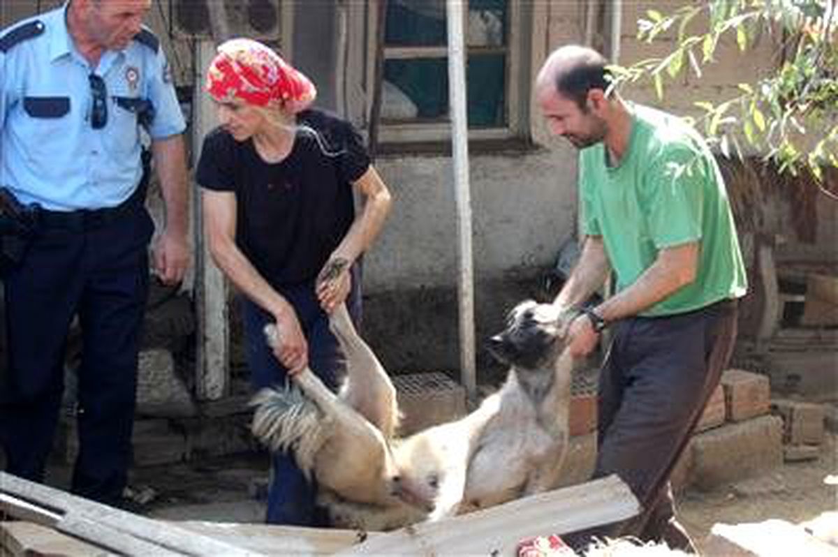 Köpeğini Vermemek İçin Taşla Direndi