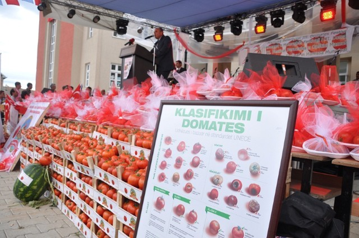 Kosova\'da 4. Mamuşa Domates Festivali Başladı