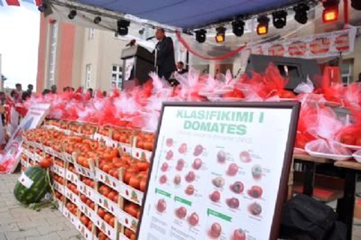Kosova\'da 4\'üncü Domates Festivali\'ne Yoğun İlgi
